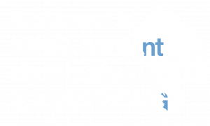 If Content is King, Content Distribution is King Kong