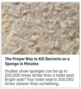 Creative Example: A Proper Way to Kill Bacteria on a Sponge in Minutes