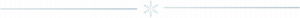 Divider - snowflake