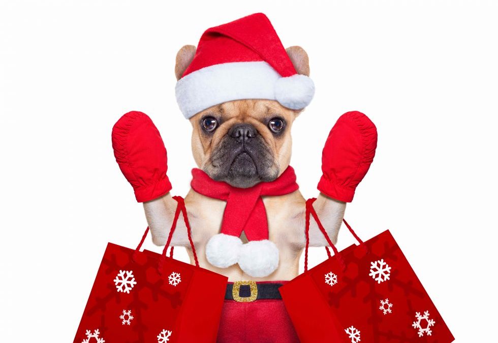 The Holiday Infographic 2019
