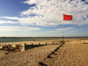 prairie, beach trends