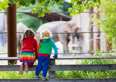 Case Study: Beloved Zoo Reopening with New Safety Measures Post-Covid Surpasses CPA Goal By 91% With Bidtellect