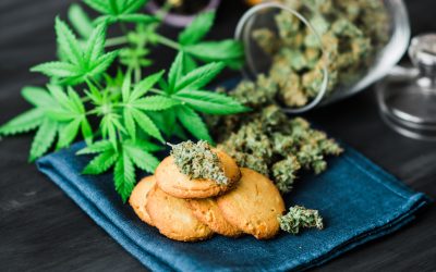 Cannabis Advertising, Changing Perceptions, the COVID Impact, and the Digital Opportunity